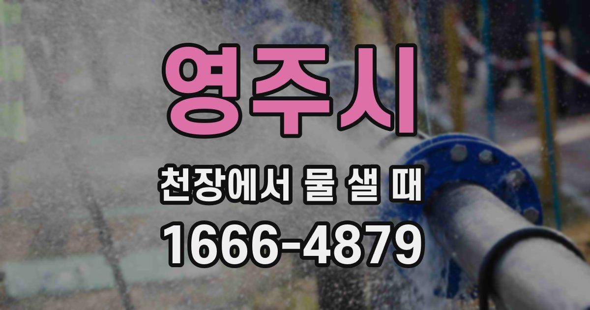 영주시 천장에서 물 샐 때