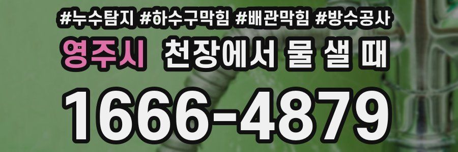 영주시 천장에서 물 샐 때