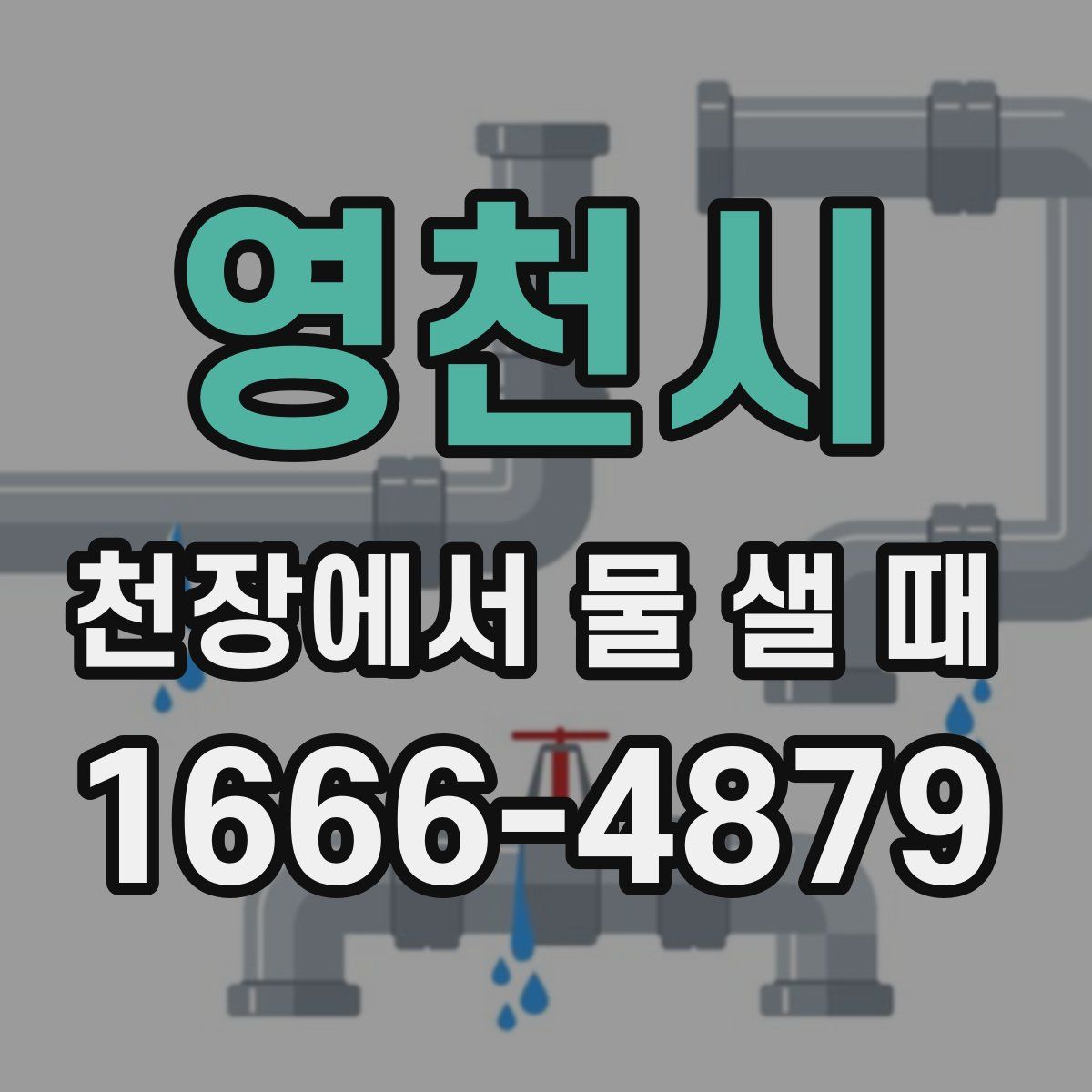 영천시 천장에서 물 샐 때