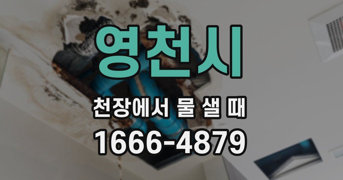 영천시 천장에서 물 샐 때