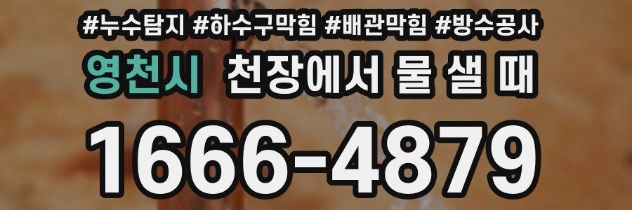 영천시 천장에서 물 샐 때