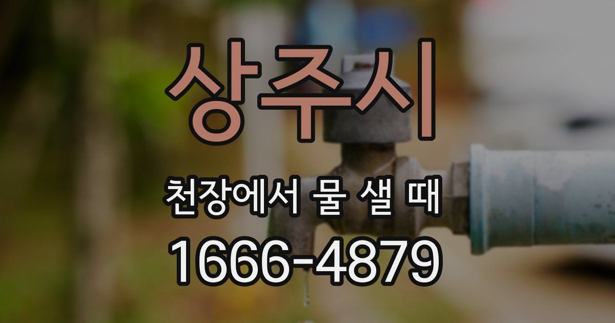 상주시 천장에서 물 샐 때