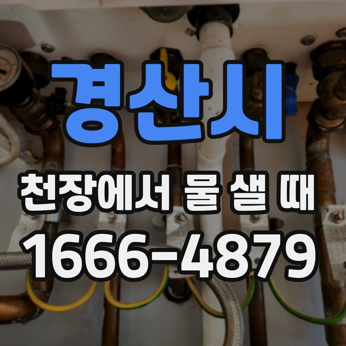 경산시 천장에서 물 샐 때