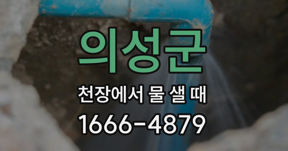 의성군 천장에서 물 샐 때