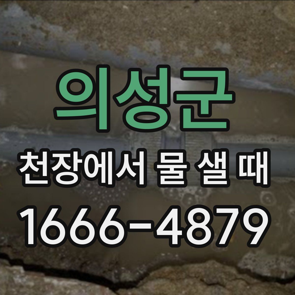의성군 천장에서 물 샐 때