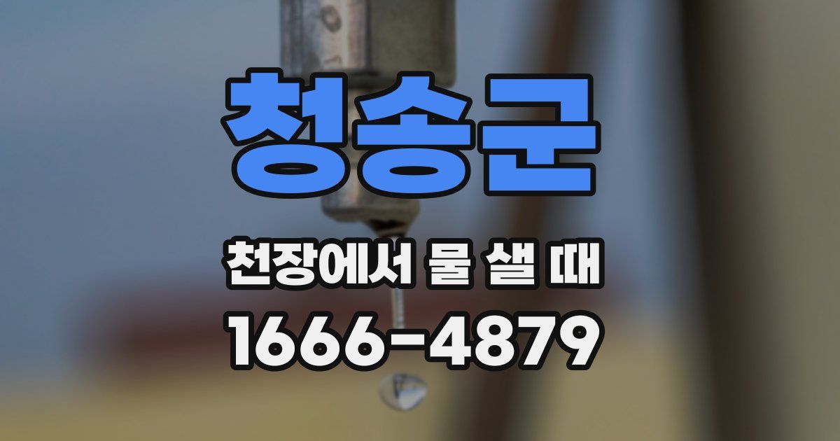 청송군 천장에서 물 샐 때