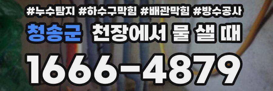 청송군 천장에서 물 샐 때