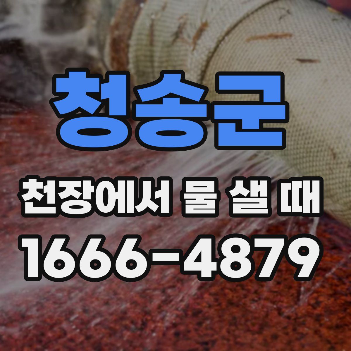 청송군 천장에서 물 샐 때