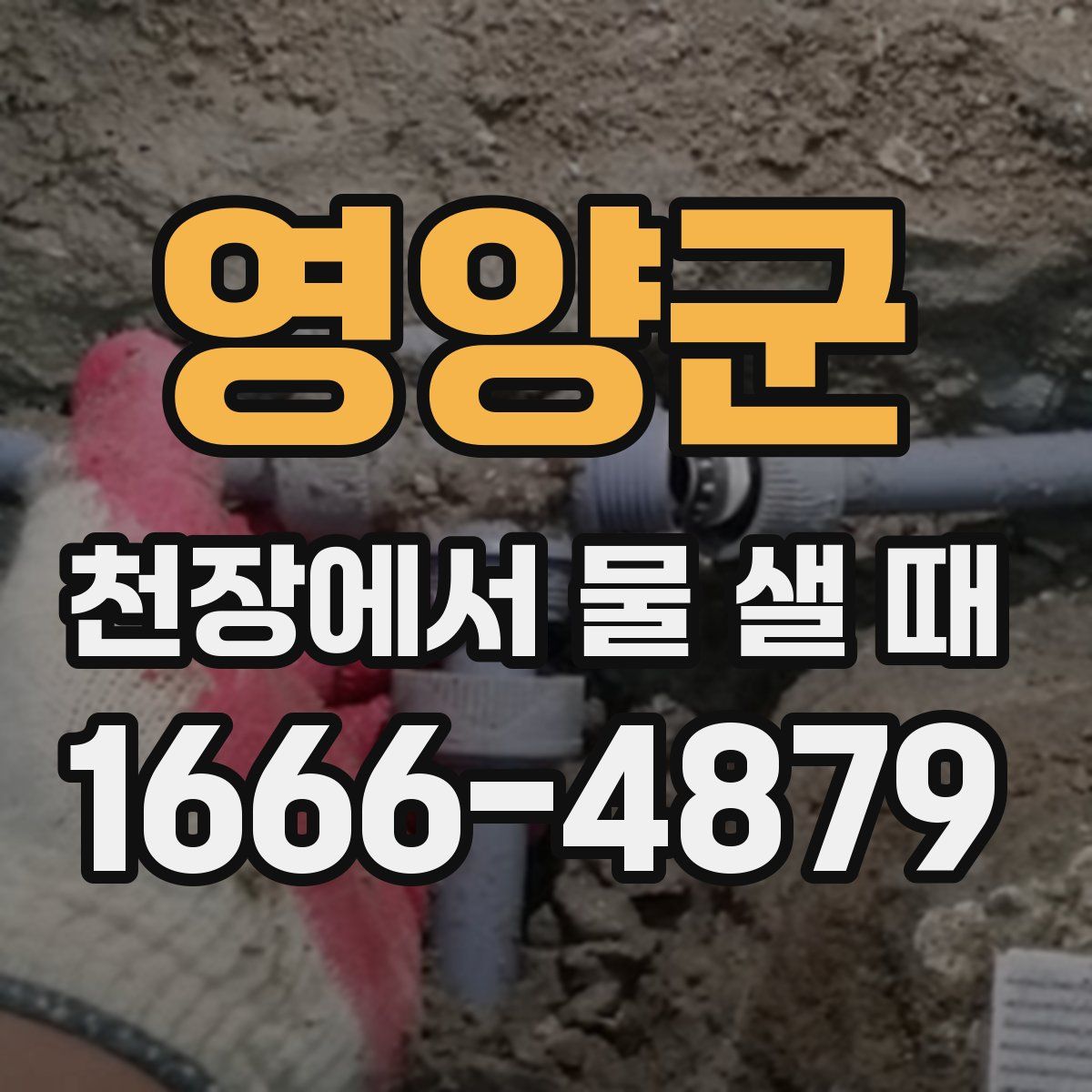 영양군 천장에서 물 샐 때