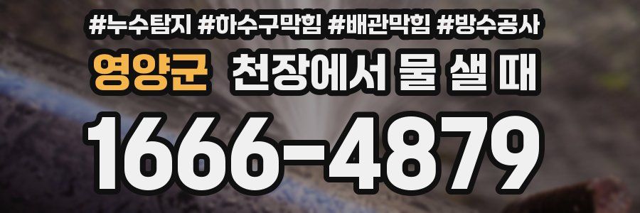 영양군 천장에서 물 샐 때
