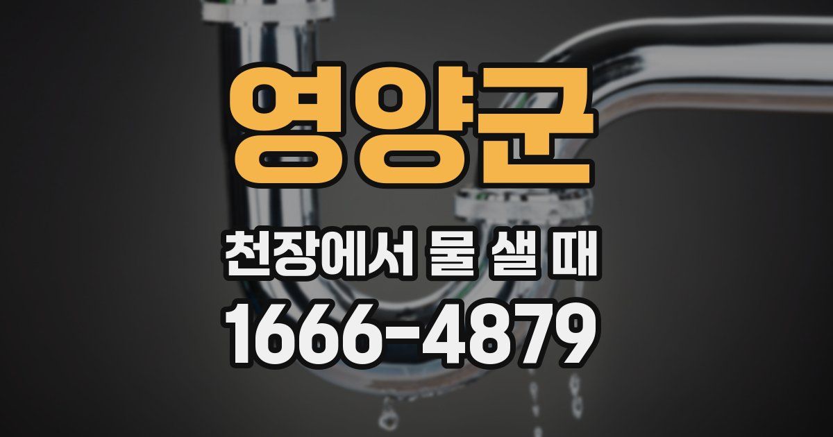 영양군 천장에서 물 샐 때