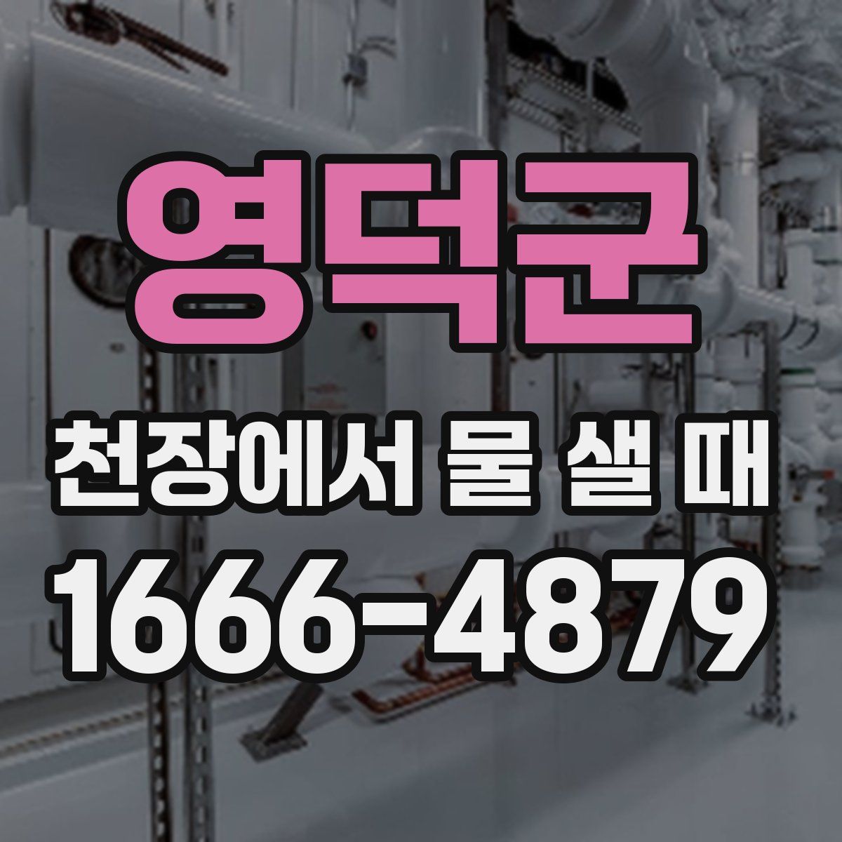 영덕군 천장에서 물 샐 때