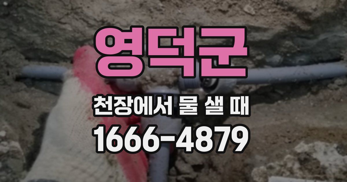영덕군 천장에서 물 샐 때
