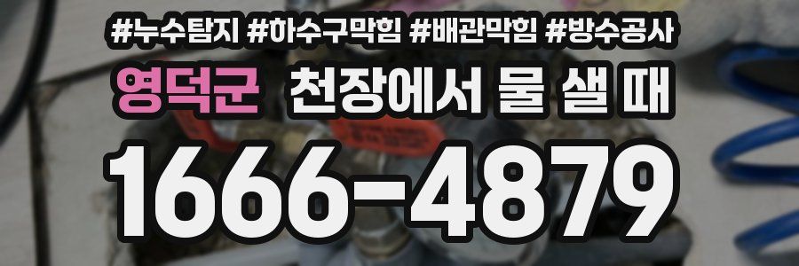 영덕군 천장에서 물 샐 때