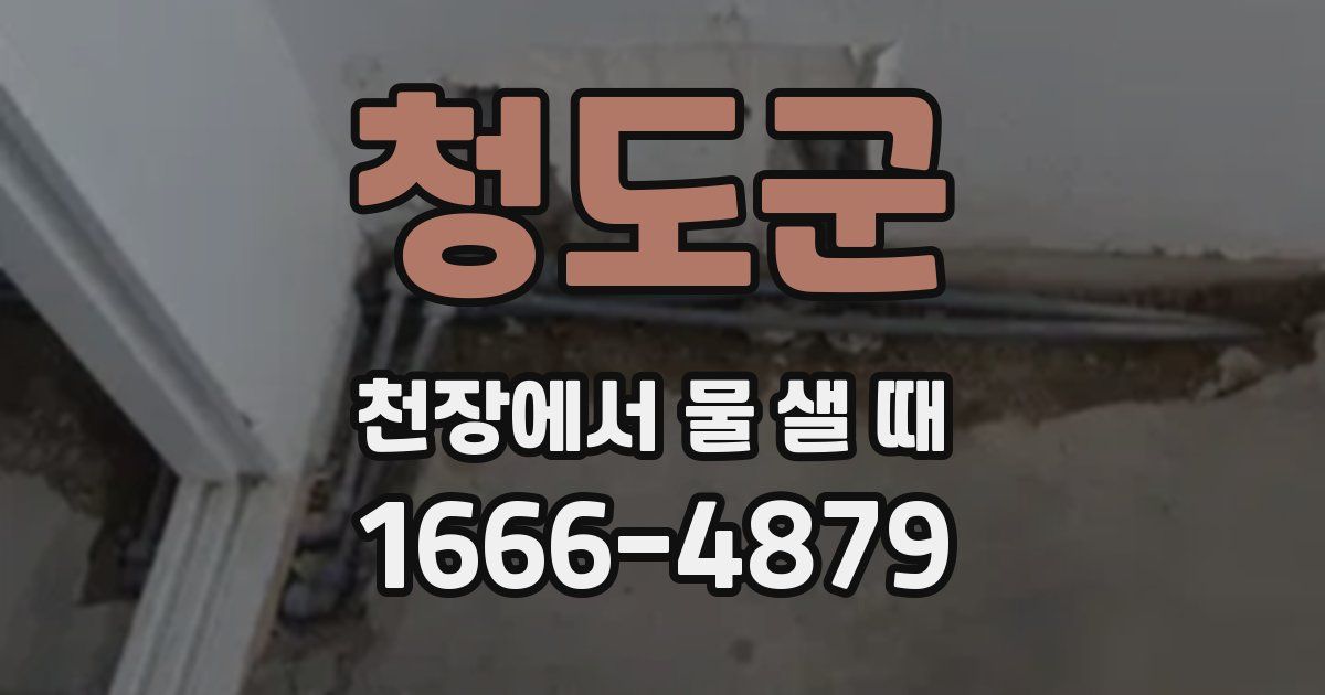 청도군 천장에서 물 샐 때