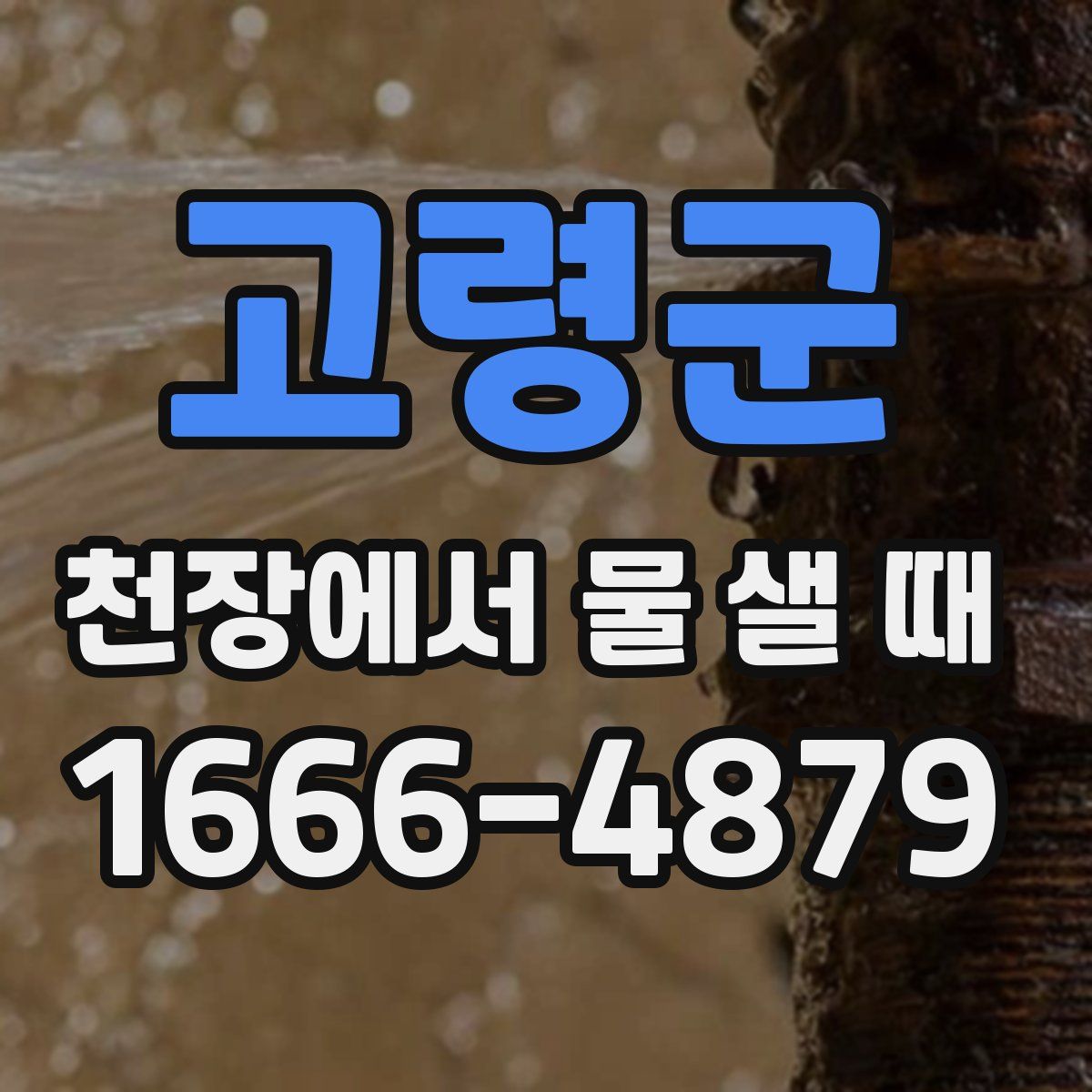 고령군 천장에서 물 샐 때