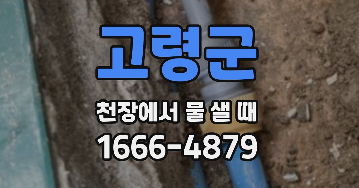 고령군 천장에서 물 샐 때