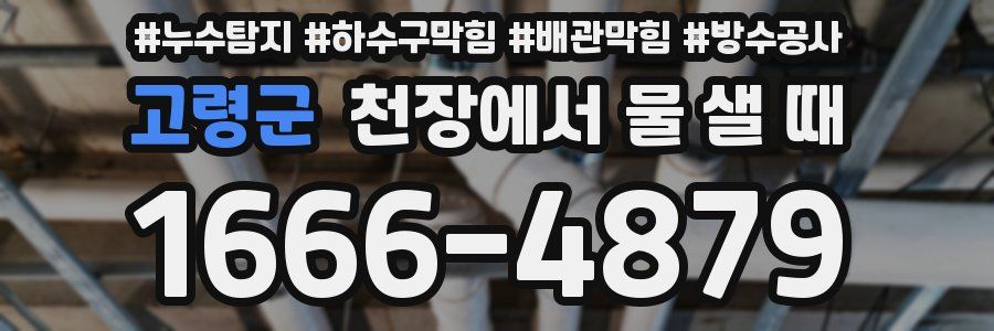 고령군 천장에서 물 샐 때
