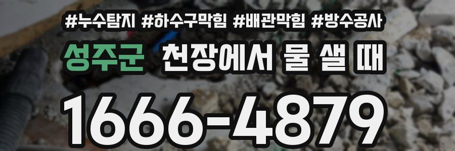 성주군 천장에서 물 샐 때