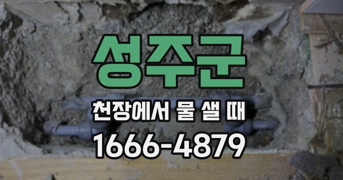 성주군 천장에서 물 샐 때