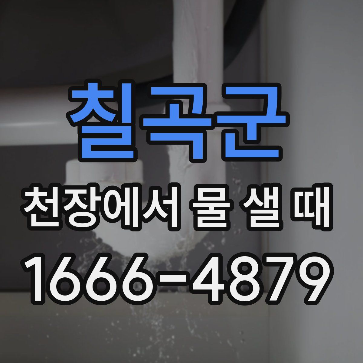 칠곡군 천장에서 물 샐 때