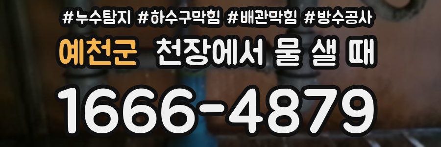 예천군 천장에서 물 샐 때