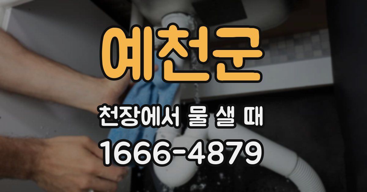 예천군 천장에서 물 샐 때