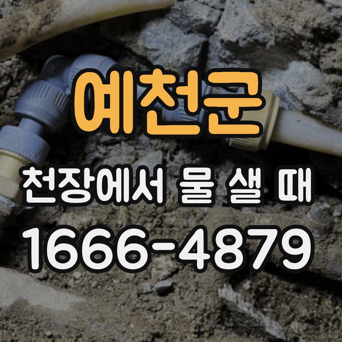 예천군 천장에서 물 샐 때