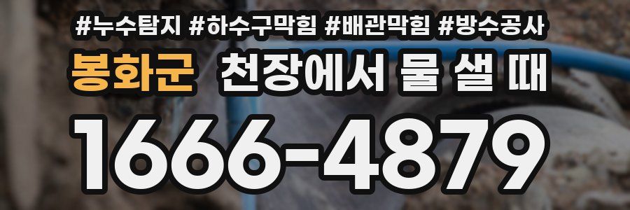 봉화군 천장에서 물 샐 때