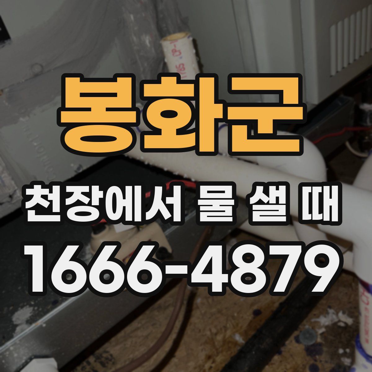 봉화군 천장에서 물 샐 때