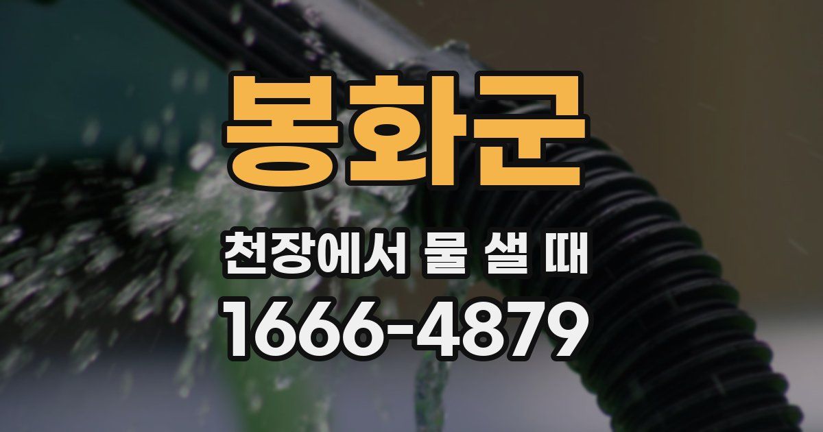 봉화군 천장에서 물 샐 때