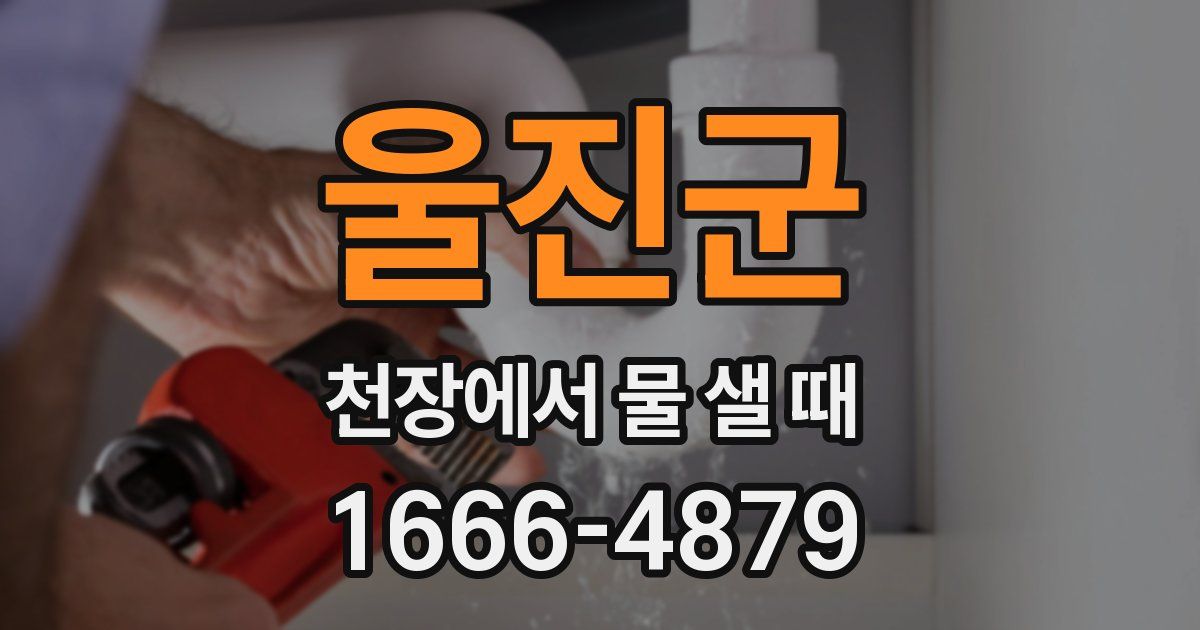 울진군 천장에서 물 샐 때