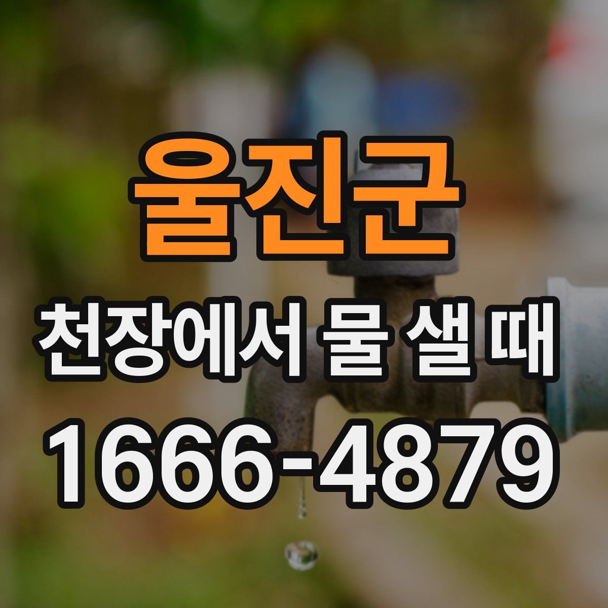 울진군 천장에서 물 샐 때