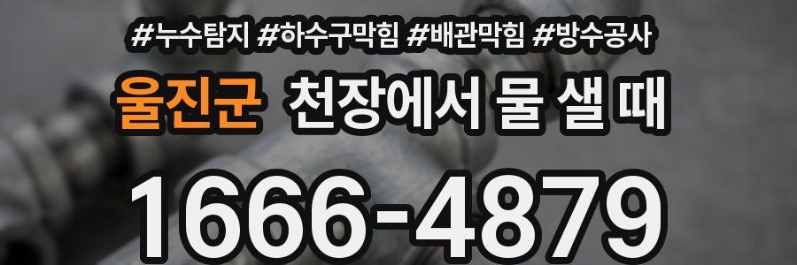 울진군 천장에서 물 샐 때