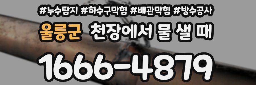 울릉군 천장에서 물 샐 때