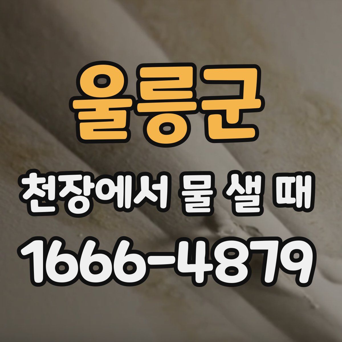 울릉군 천장에서 물 샐 때