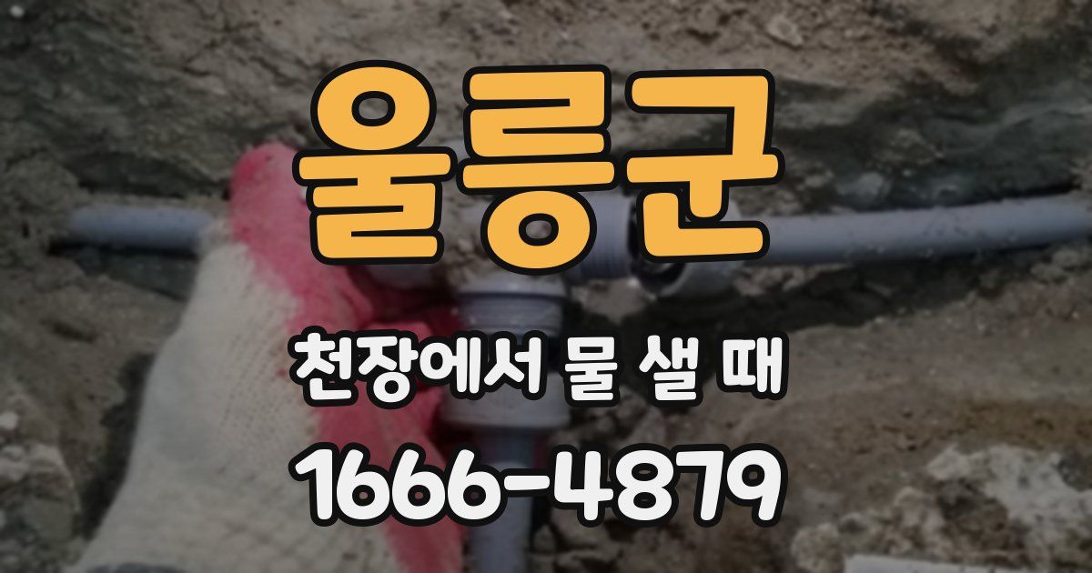 울릉군 천장에서 물 샐 때