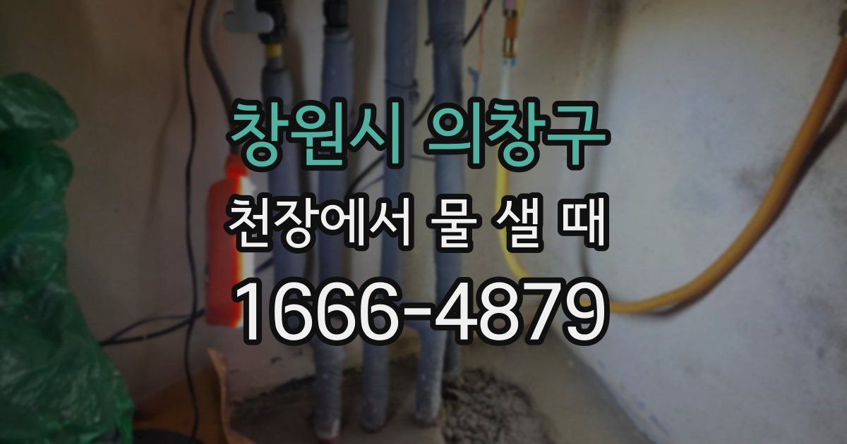 창원시 의창구 천장에서 물 샐 때