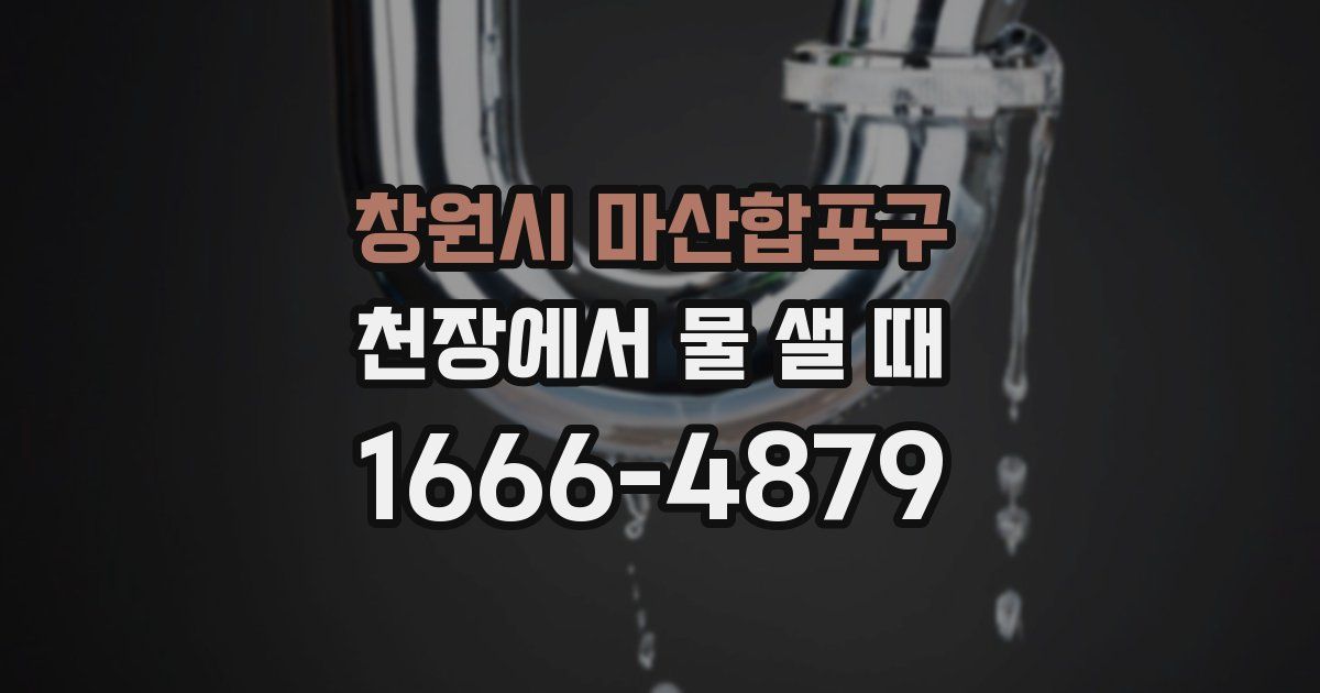 창원시 마산합포구 천장에서 물 샐 때