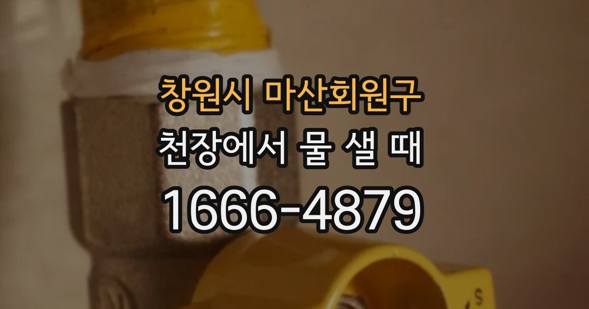 창원시 마산회원구 천장에서 물 샐 때