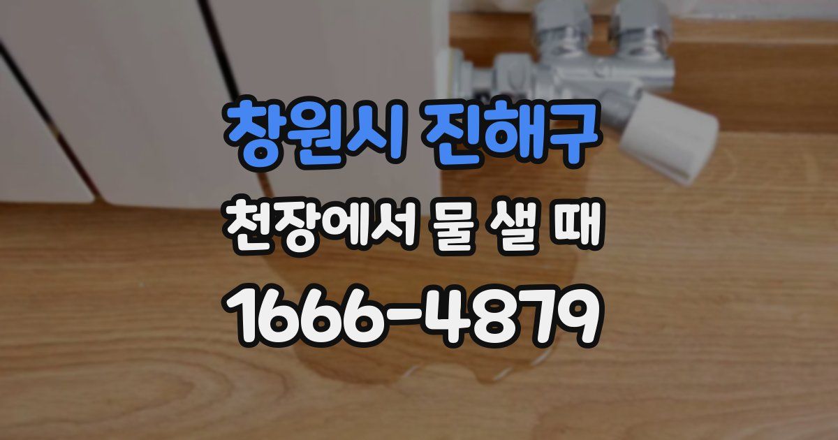 창원시 진해구 천장에서 물 샐 때