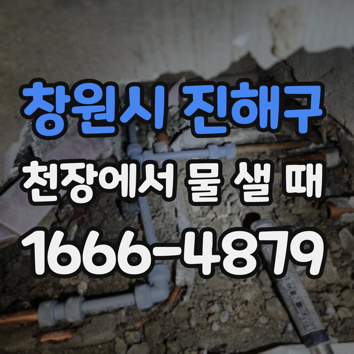 창원시 진해구 천장에서 물 샐 때