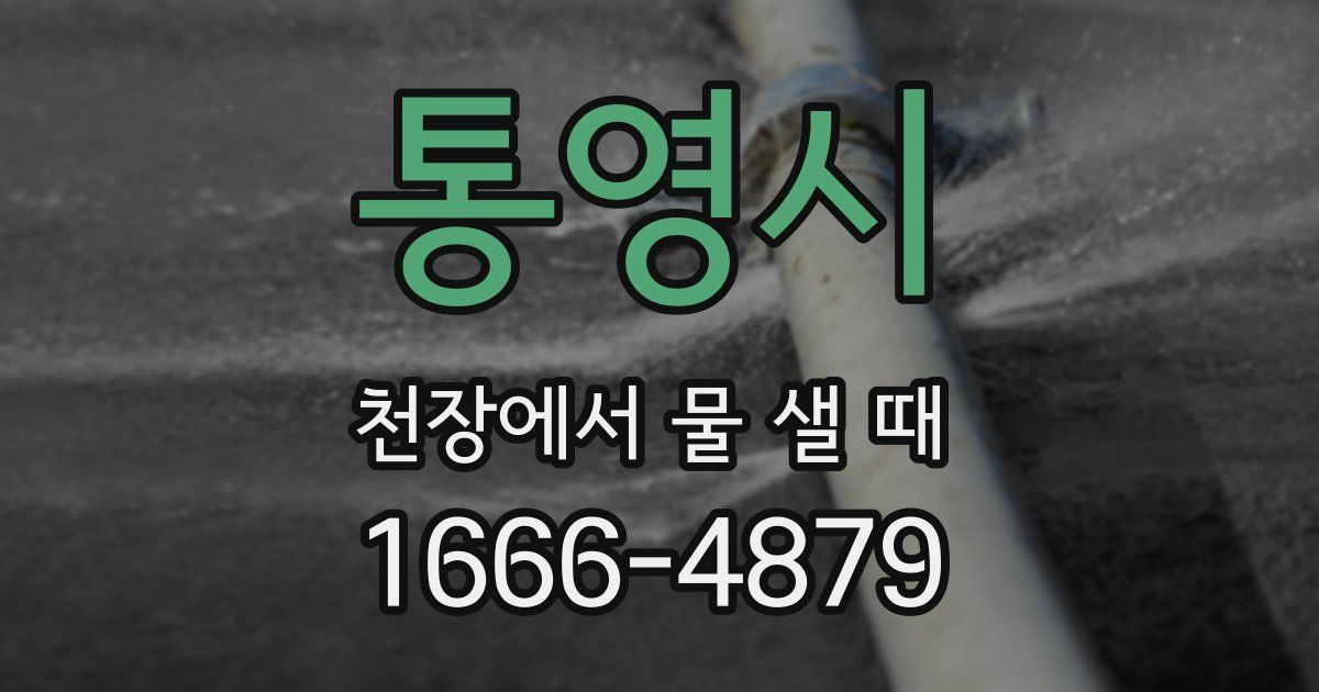 통영시 천장에서 물 샐 때