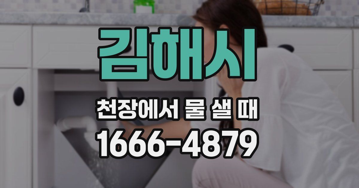 김해시 천장에서 물 샐 때