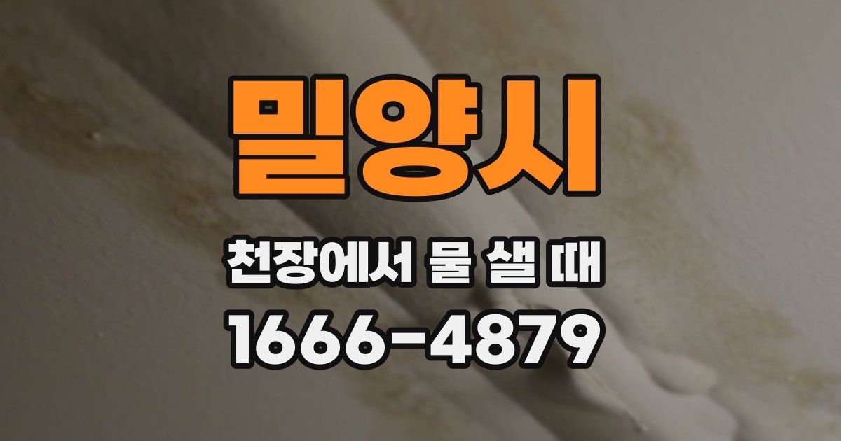 밀양시 천장에서 물 샐 때