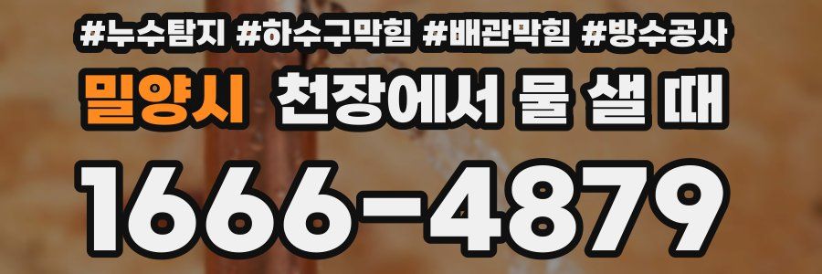 밀양시 천장에서 물 샐 때