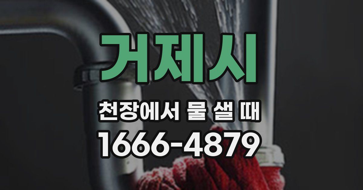 거제시 천장에서 물 샐 때