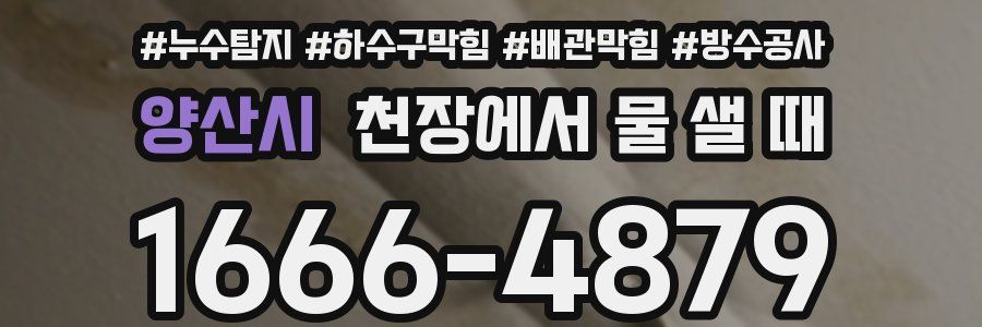양산시 천장에서 물 샐 때