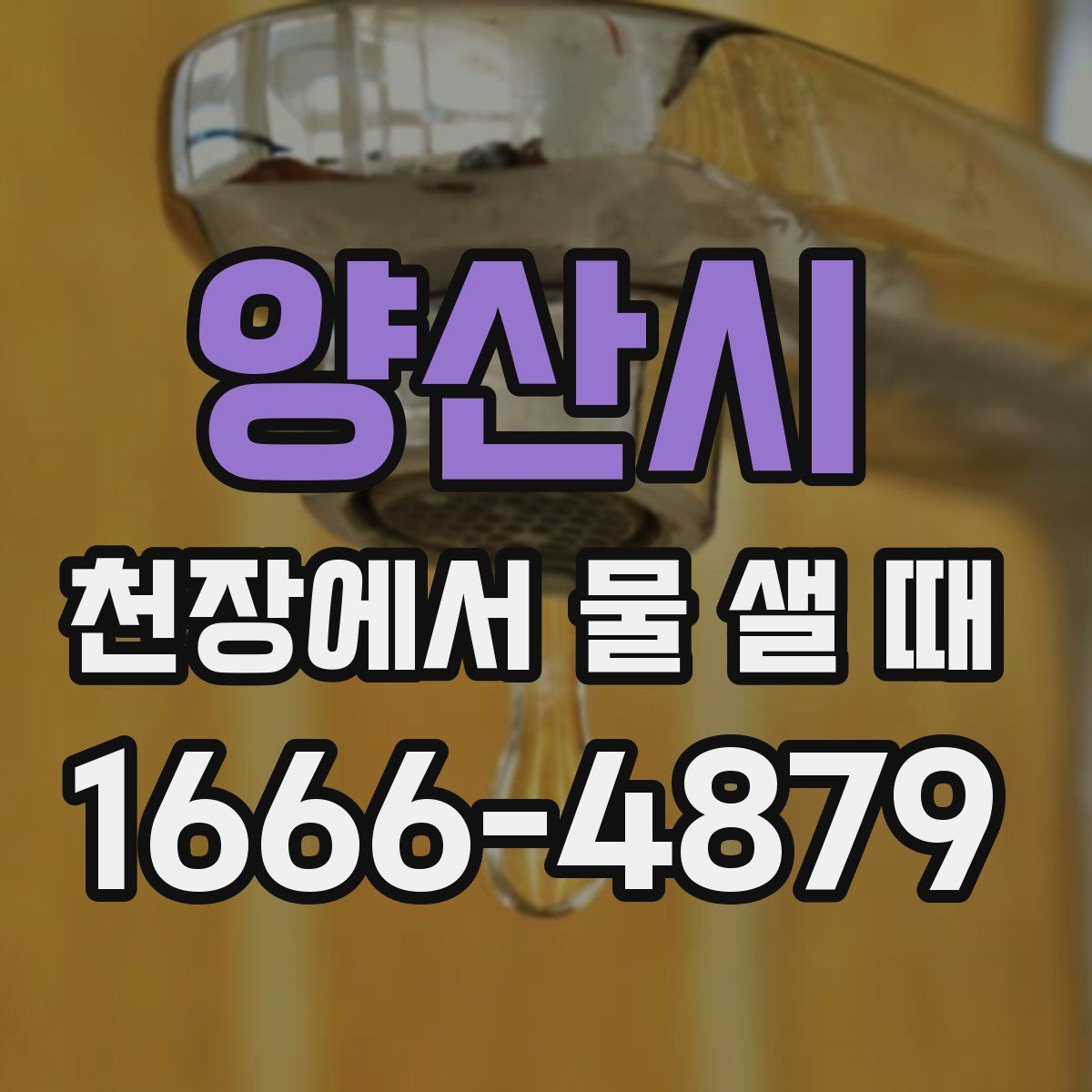 양산시 천장에서 물 샐 때