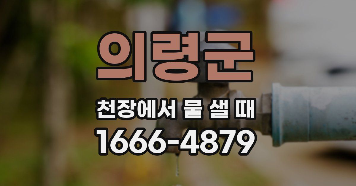 의령군 천장에서 물 샐 때